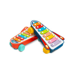 Dětská edukační hračka Toyz cimbálky, Multicolor