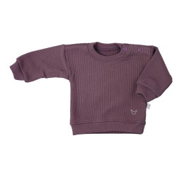 Kojenecké tričko Koala Pure purple, Fialová, 62 (3-6m)